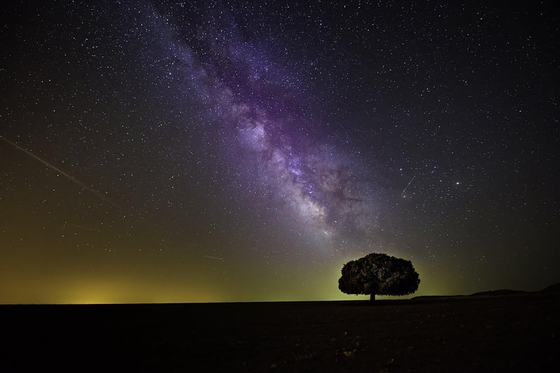 Meteor Shower Send-off